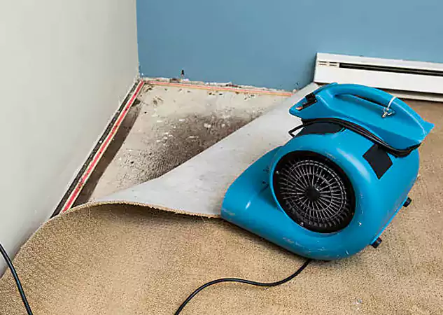 Your Water Damage Experts in Calhoun, GA
