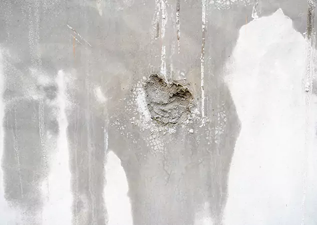 Your Mold Mitigation Solutions Partner in Calhoun, GA