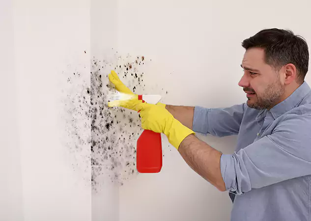 Your Water Mold Fire Restoration Partner in Calhoun, GA