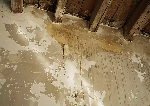 Your Trusted Restoration Company in Calhoun, GA