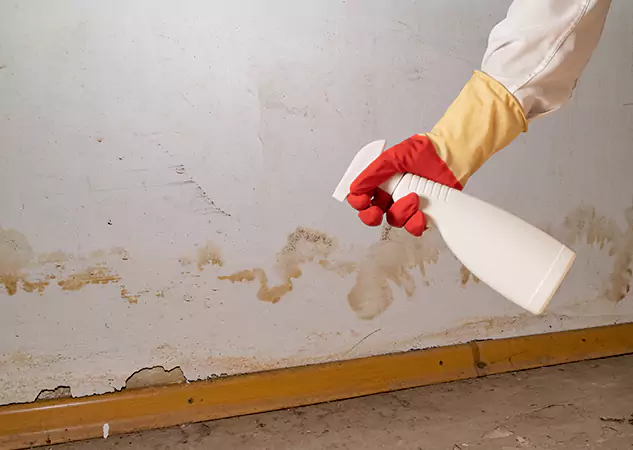 Your Water Restoration and Mold Remediation Specialists in Calhoun, GA