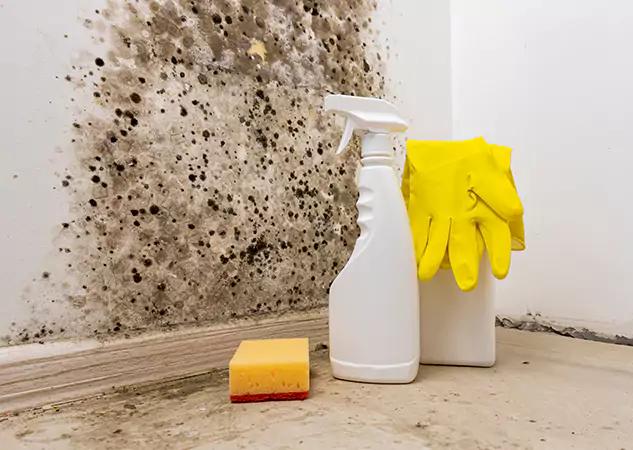 Your Reliable Restoration Company in Calhoun, GA