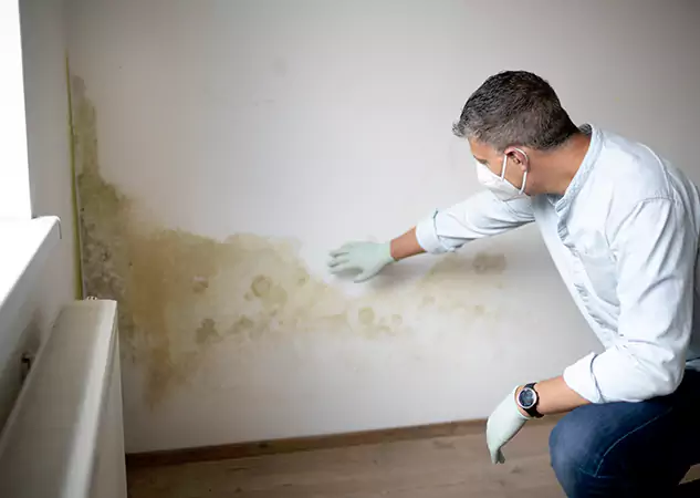 Reach Our Remediation Team Before Damage Grows in Calhoun, GA!