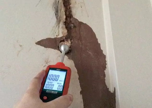 Your Water Damage Assessment Partner in Calhoun, GA