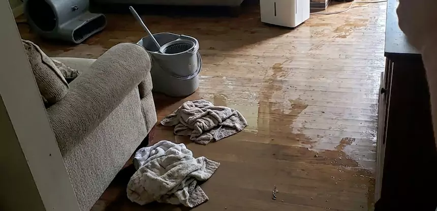 Professional Basement Water Remediation Services in Calhoun, GA