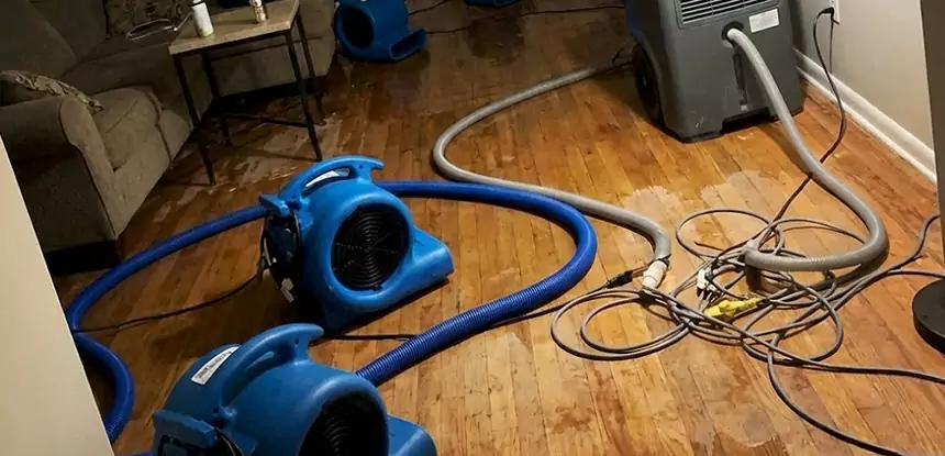 Basement Flood Restoration Services in Calhoun