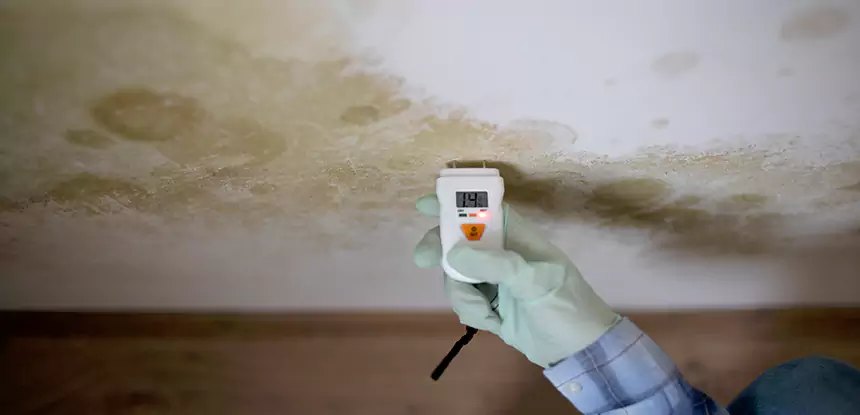 Emergency Mold Remediation in Calhoun