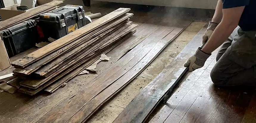 Wood Rot and Fungus Repair in Calhoun
