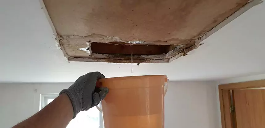 Ceiling Mold Repair Calhoun 