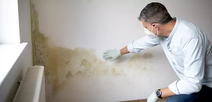 Mold and Water Damage Repair in Calhoun