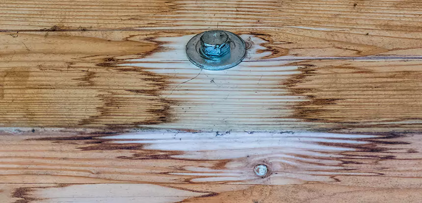 Fixing Water Marks on Wood in Calhoun
