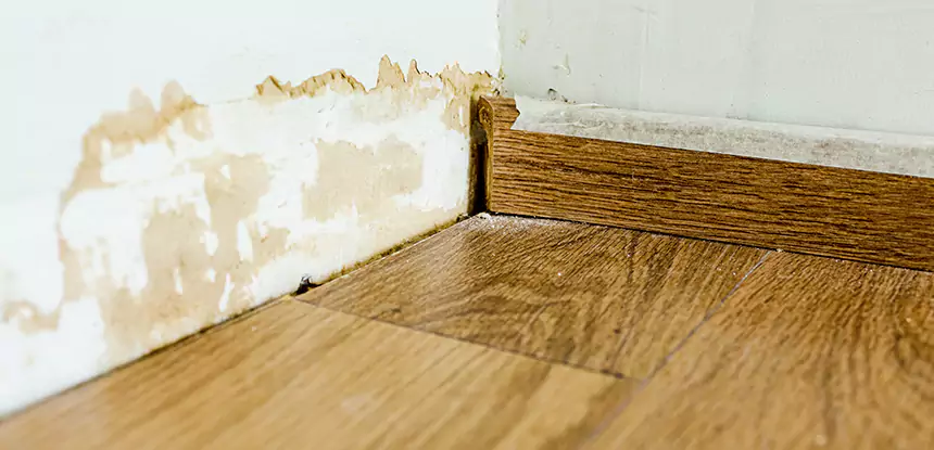 Professional Fix Water Damaged Wood Services in Calhoun, GA