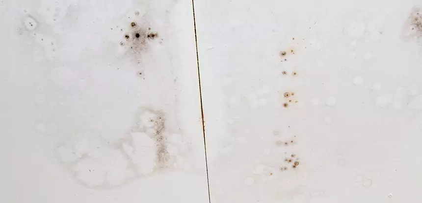 Professional Water Stain Repair Services in Calhoun, GA