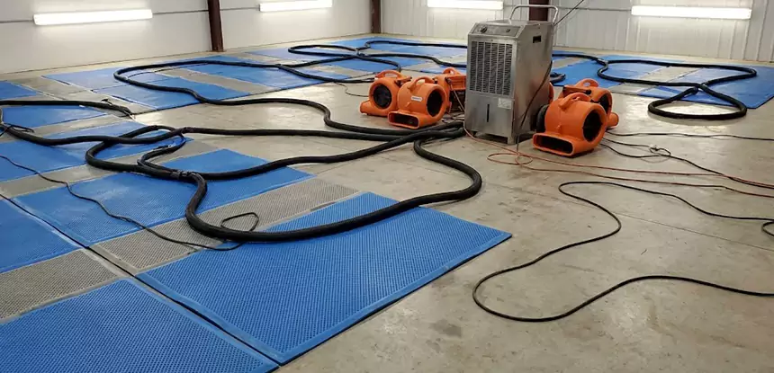 Professional Flooded Carpet Drying Services in Calhoun, GA