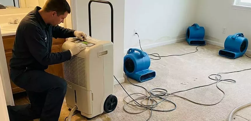 Professional Wet Carpet Removal Services in Calhoun, GA