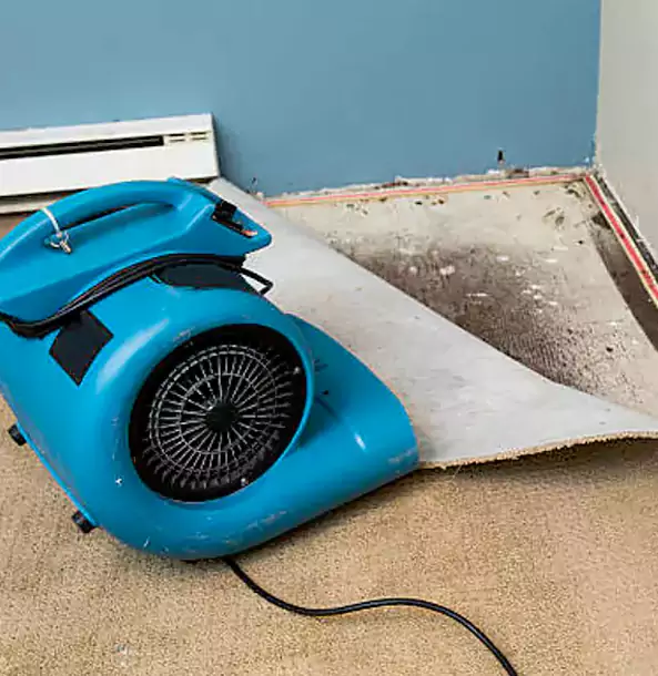 Why Calhoun Trusts Calhoun Restoration Pro for Carpet Flood Recovery?