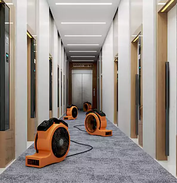 Why Calhoun Trusts Calhoun Restoration Pro?