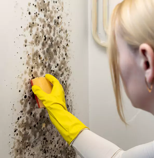 Why Calhoun Restoration Pro Leads Mold Remediation in Calhoun?