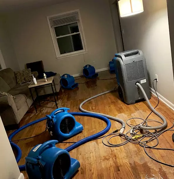 Why Calhoun Property Owners Rely on Calhoun Restoration Pro for Remediation?