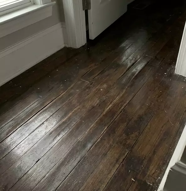 Why Calhoun Homeowners Trust Calhoun Restoration Pro to Fix Water Damaged Wood?