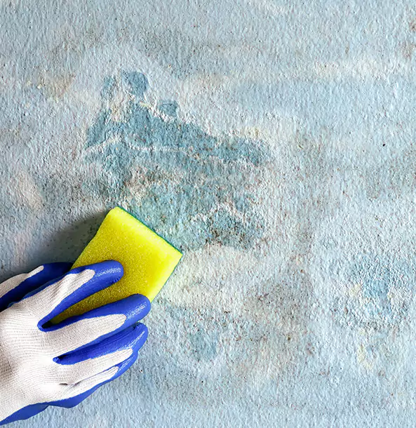 Why Calhoun Restoration Pro Is the Right Choice in Calhoun, GA?