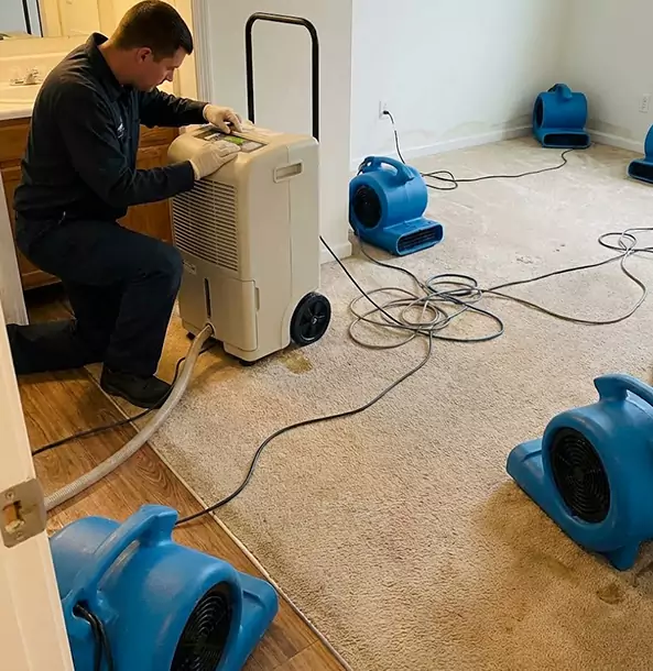 Why Calhoun Homeowners and Businesses Trust Calhoun Restoration Pro for Carpet Drying?