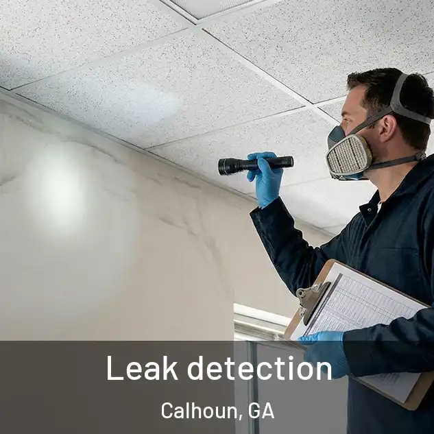  Leak detection Calhoun, GA
