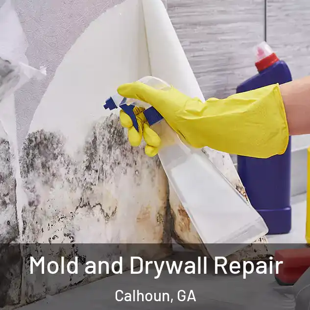  Mold and Drywall Repair Calhoun, GA