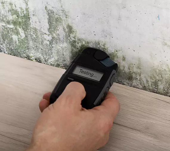 Mold Remediation Service Calhoun