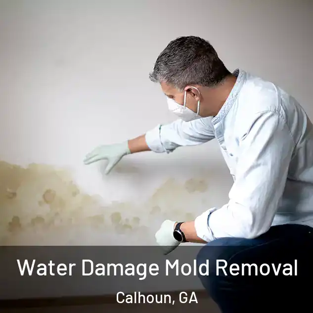  Water Damage Mold Removal Calhoun, GA