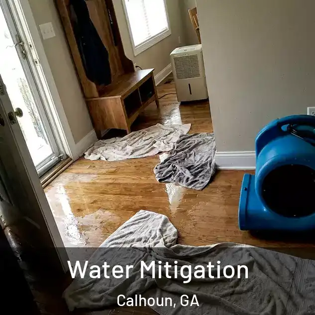  Water Mitigation Calhoun, GA